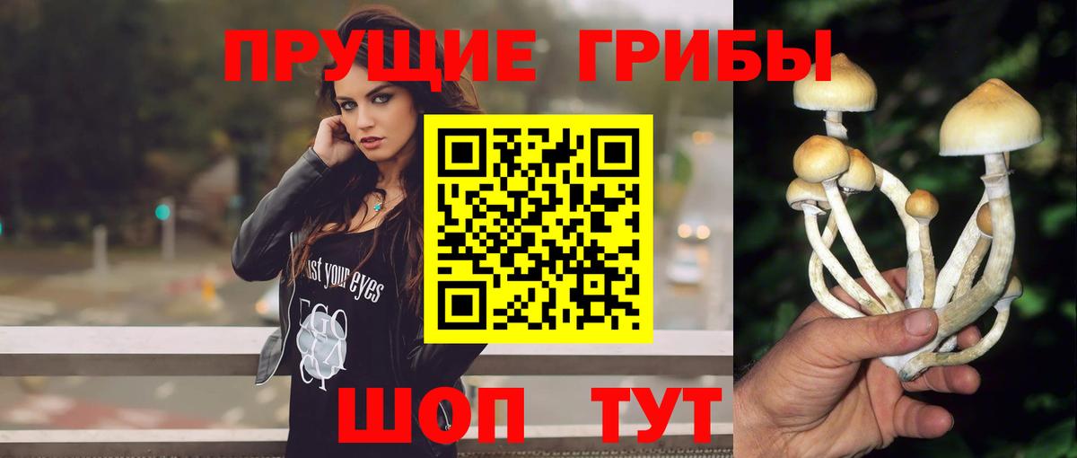 Прокопьевск  Псилоцибиновые грибы Psilocybe  Вход с VPN  Псилоцибиновые грибы Cubensis 