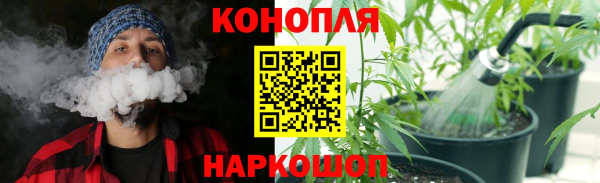 Бошки марихуана конопля Прокопьевск